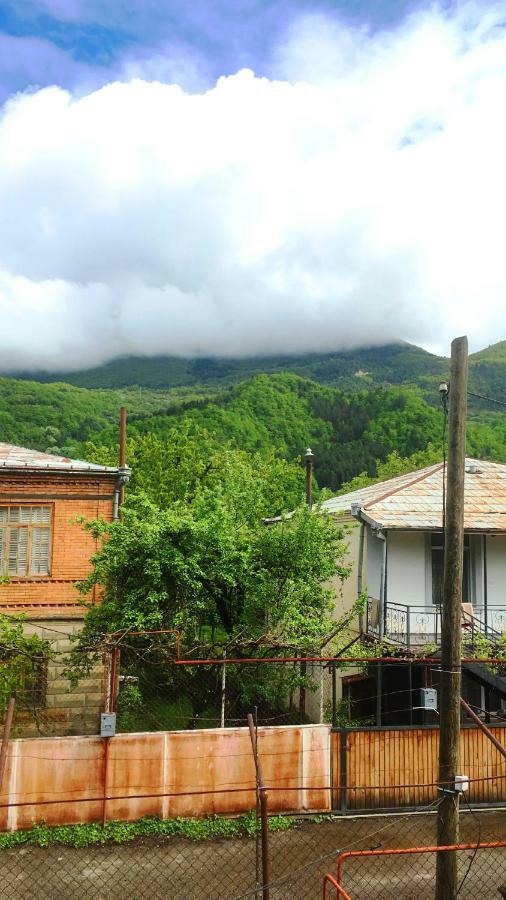 Ambrosador Affittacamere Ambrolauri Esterno foto