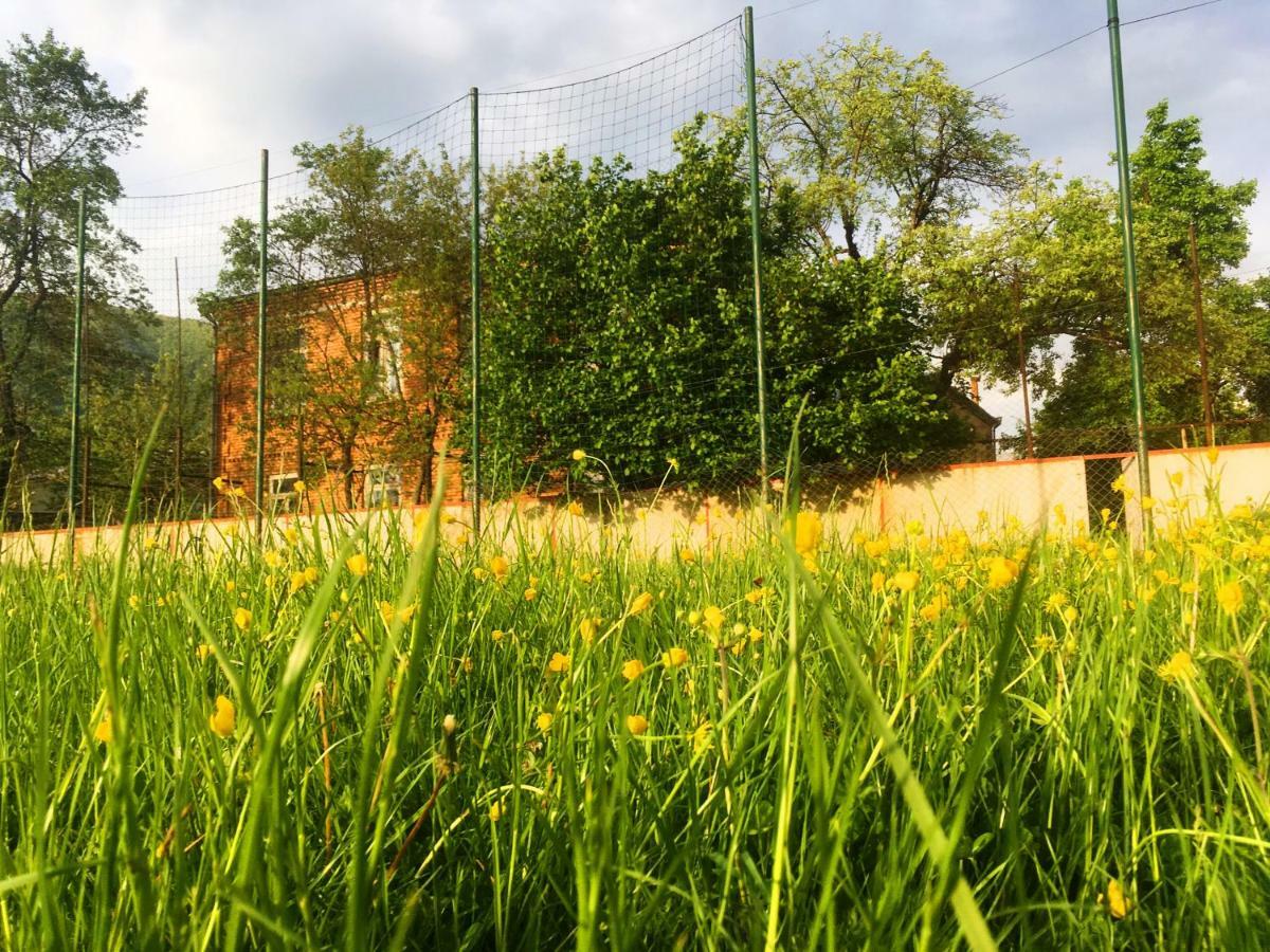 Ambrosador Affittacamere Ambrolauri Esterno foto